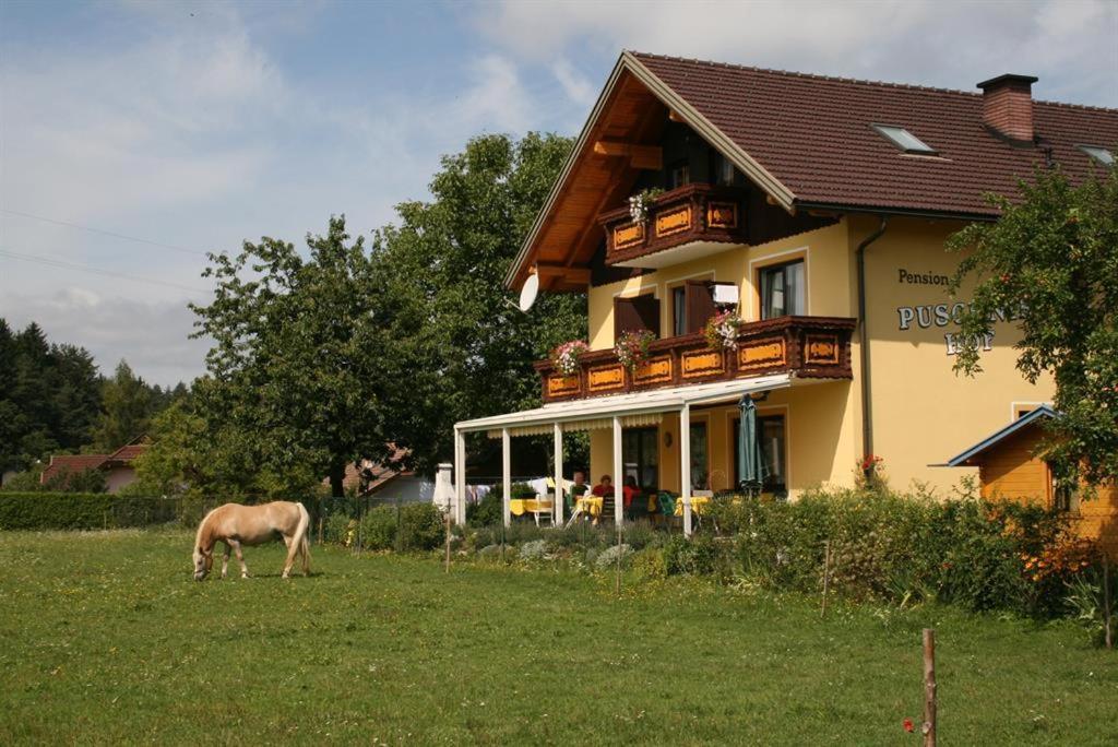 Bauernhof-Pension Puschnikhof Unternarrach Exterior foto