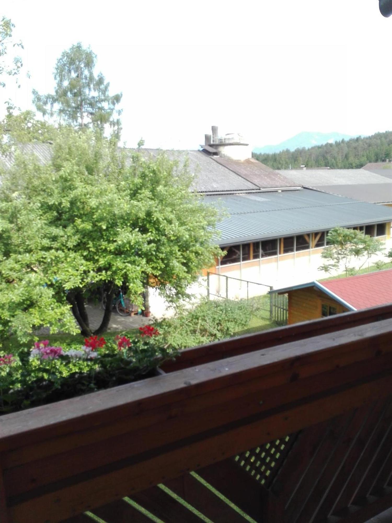 Bauernhof-Pension Puschnikhof Unternarrach Exterior foto